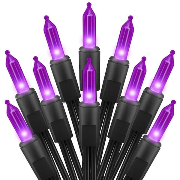 Purple Halloween Mini Lights (2-Pack), 13 ft. 50-Count Totally 100-Count Incandescent Bulb Mini String Lights