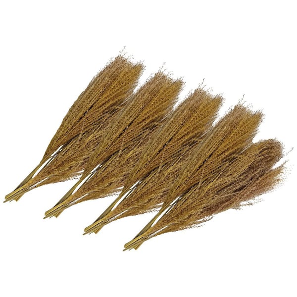 21 in. Natural Brown Indoor Non Artificial Dried Preserved Preserved Buddha Dust-Pack of 4