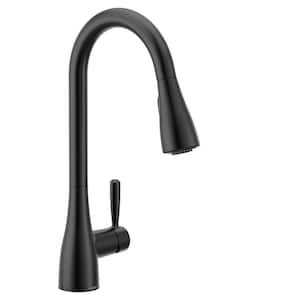 Doherty Single Handle Pull-Down Sprayer Kitchen Faucet with Power Clean and Reflex in Matte Black