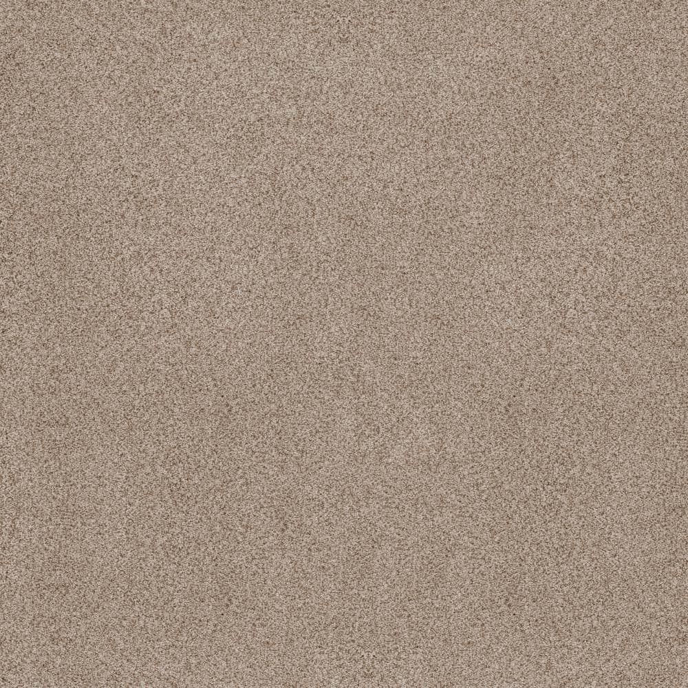 8 in. x 8 in. Texture Carpet Sample - Sand Dunes II - Color Henna price history on PriceWatchPro
