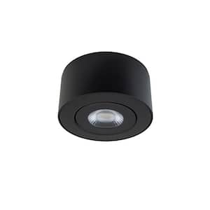 Peek 1-Light Black LED Outdoor Flush Mount Light with Universal Voltage and Selectable CCT