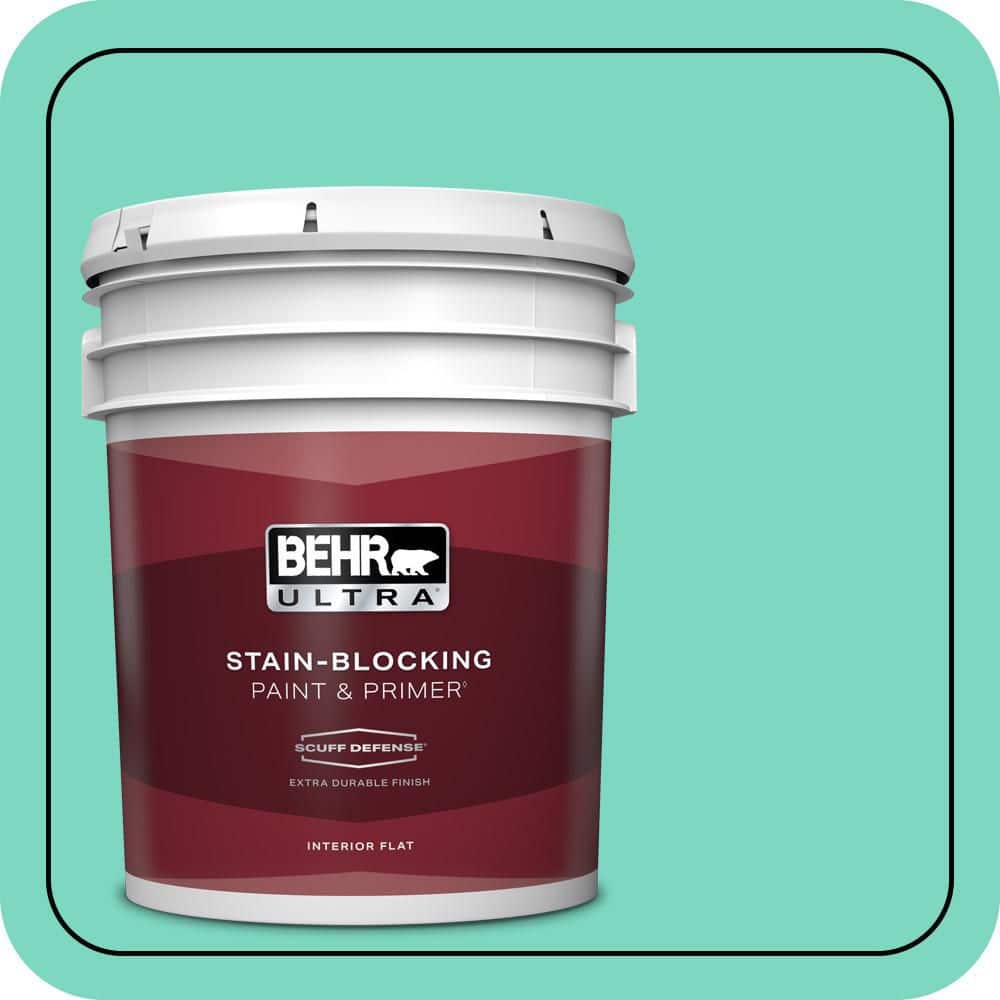 5 gal. #480A-3 Mint Majesty Extra Durable Flat Interior Paint & Primer price history on PriceWatchPro