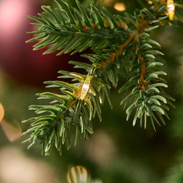 Home Decorators Collection 7.5 ft Elegant Twinkling Grand Fir LED