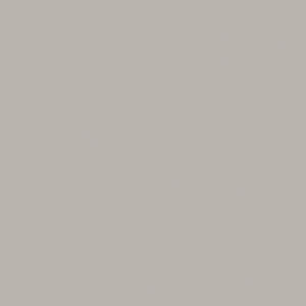 FORMICA 5 ft. x 12 ft. Laminate Sheet in Platinum with Matte Finish