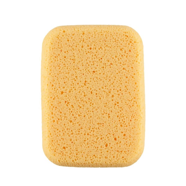 PRIVATE BRAND UNBRANDED All Purpose Sponge