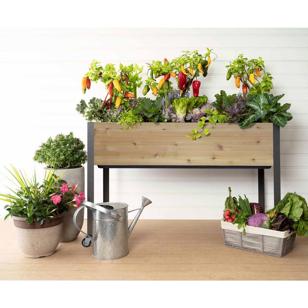 Cedar Self-Watering Elevated Garden Planter with Wheels