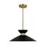 https://images.thdstatic.com/productImages/b62c48c8-5c85-4ad7-a827-fbc7b235ef66/svn/burnished-brass-generation-lighting-pendant-lights-ep1231mbkbbs-64_65.jpg