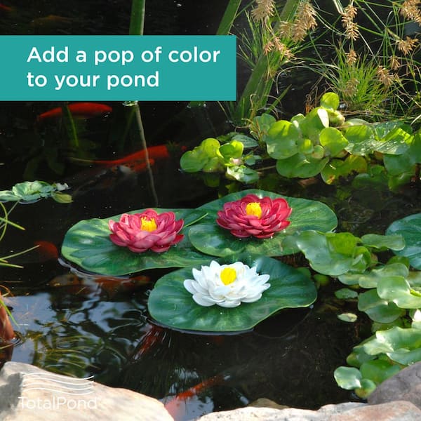 Floating Lily's (3-Pack)