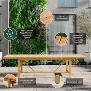 Fiji 11-Piece Eucalyptus Wood and Resin Patio Rectangular Outdoors Dining Table Set Ideal for, with Teak Finish, Brown