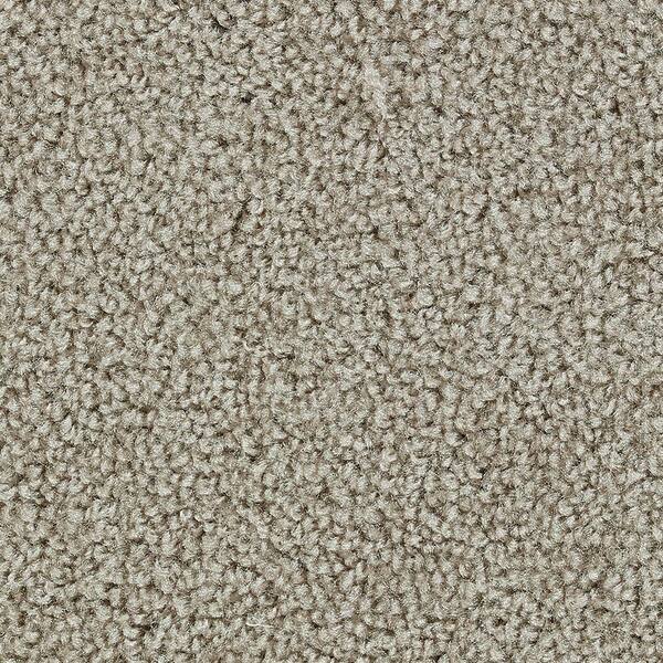 Beaulieu Carpet Sample - Dawson I - In Color Artistic Texture 8 in. x 8 in.