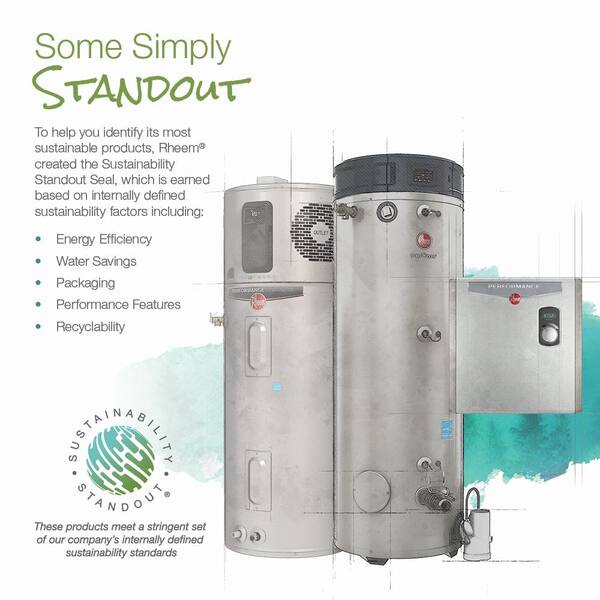 Rheem Commercial Triton Premium Heavy Duty High Eff. 100 Gal. 250K BTU ULN  Natural Gas Power Direct Vent Tank Water Heater GHE100SS-250 - The Home  Depot