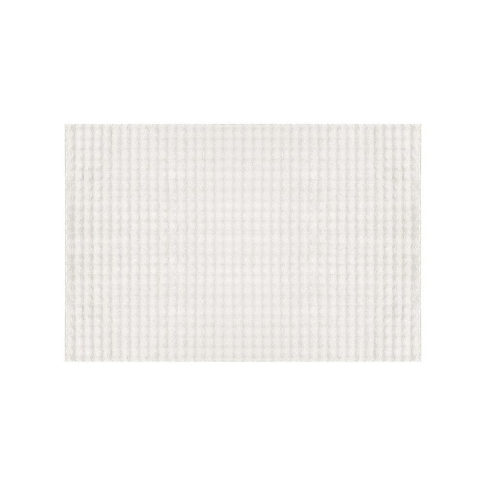 Sequoia 2 ft. x 3 ft. White Non-Slip Rubber Back Washable Polyester Checker Indoor Outdoor Area Rug price history on PriceWatchPro