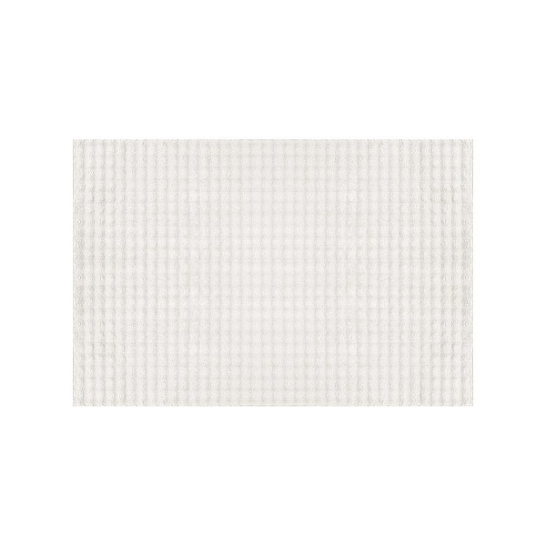 Sequoia 3 ft. ft. x 5 ft. White Non-Slip Rubber Back Washable Polyester Checker Indoor Outdoor Area Rug