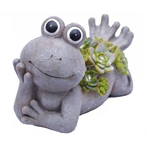 Solar Powered 5-Light 7.3 in. Integrated LED Stone Frog with Succulents