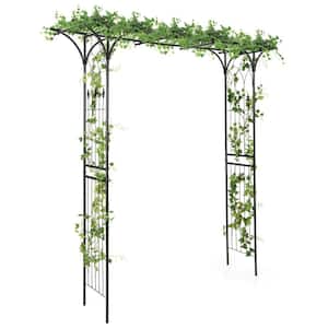 81 in. x 81 in. Metal Garden Arch for Various Climbing Plant Arbor