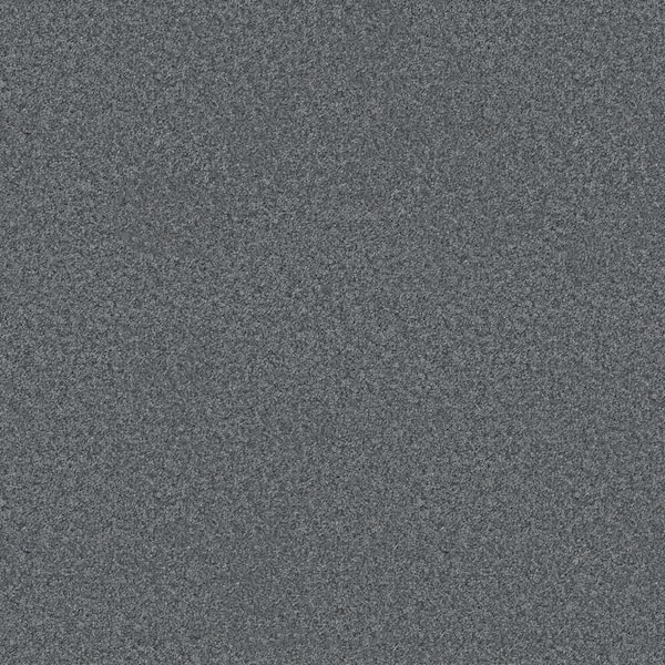 Lifeproof Rosemary III - Deco-Blue 12 ft. 66 oz. High Performance Polyester Texture Installed Carpet