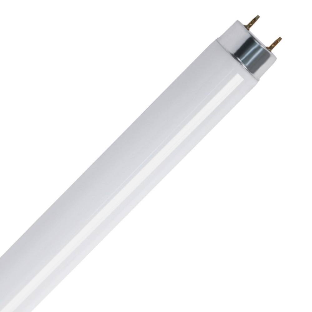 Feit Electric Watt Ft T G Linear Fluorescent Tube Light Bulb Daylight Deluxe K