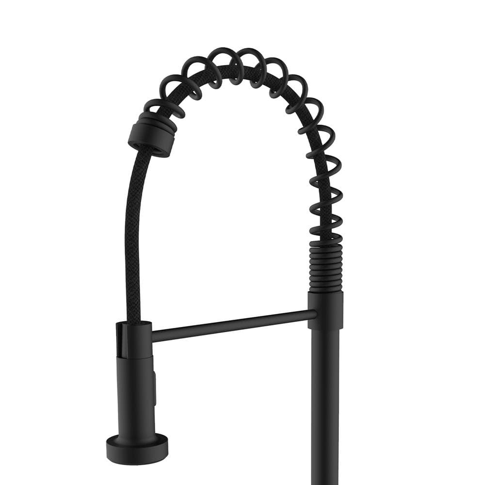 Black Stainless Steel Pull-Out Spray Kitchen Faucet