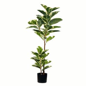 50 in. Green Artificial Oak Other Everyday Tree in Pot