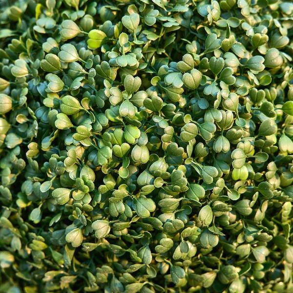 未使用⭐︎木が素敵なダイFrosted Forest Dies スタンピンアップ DR.Planzen 15in Artificial Topiary Balls UV-Resistant Greenery
