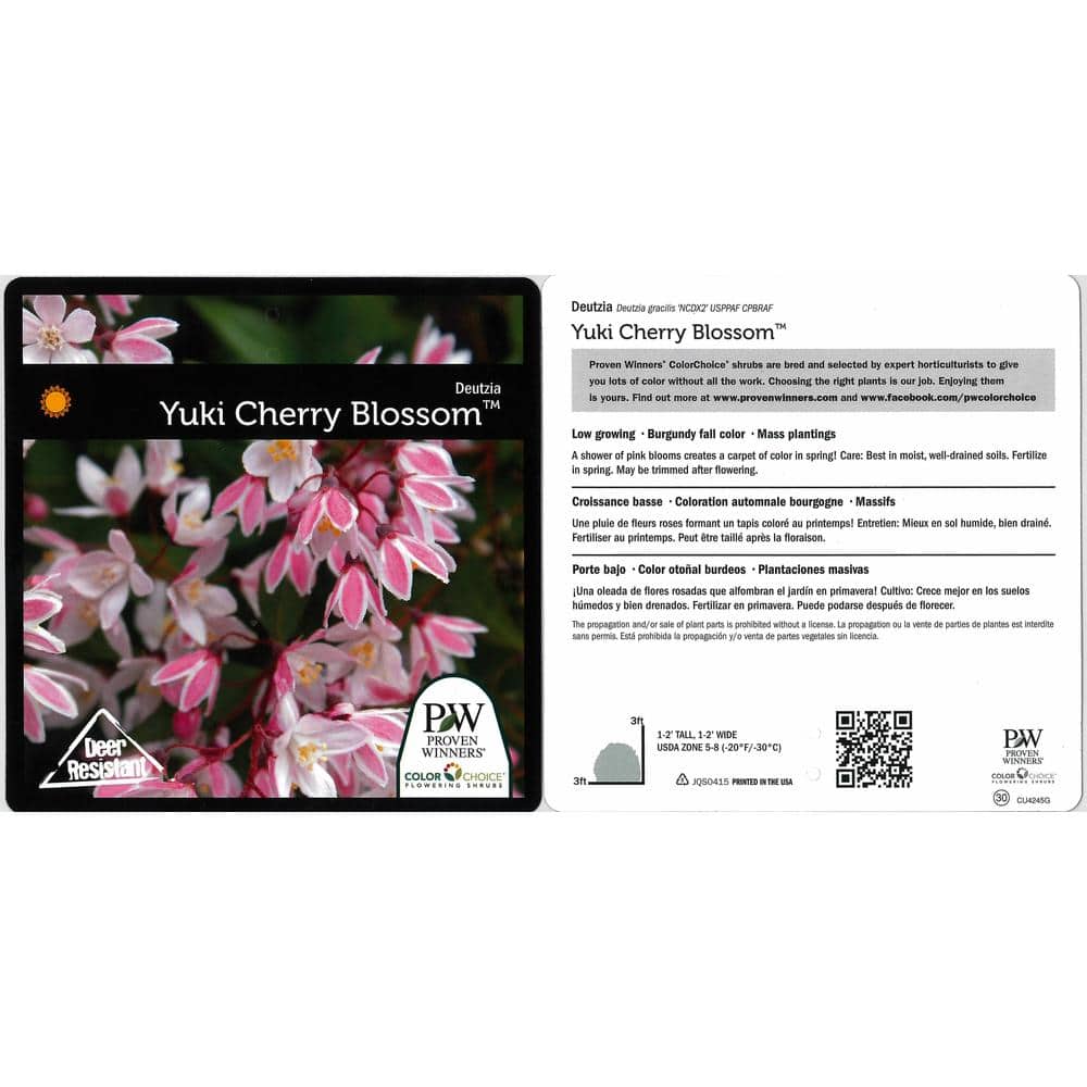 Yuki Cherry Blossom Pink Deutzia Live Shrub in 1 Gallon Container