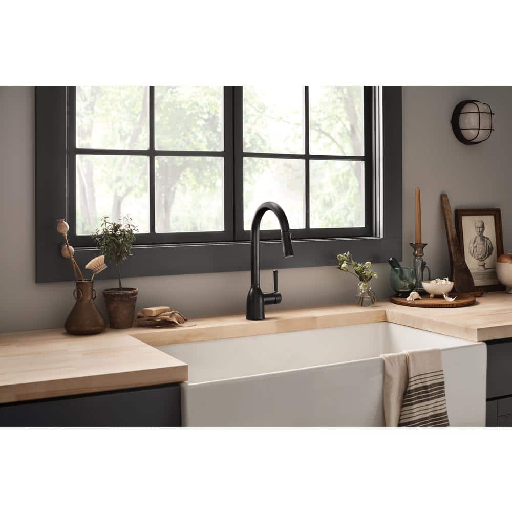 Matte Black Stainless Steel Pull-Out Spray Kitchen Faucet