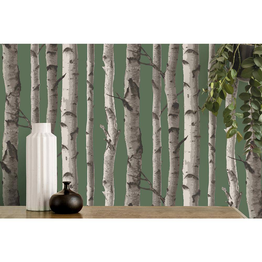 Hunter Green and White Birch Trees Non-pasted Wallpaper Roll