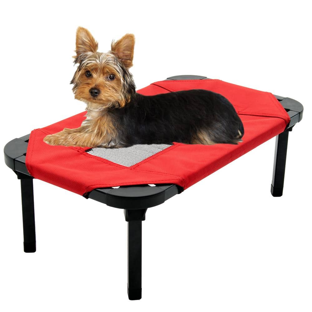 elevated dog bed for crate