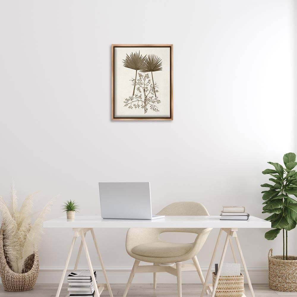 Palm Leaf & Olive Branches by Phillipa Katz Brown Floater Frame Nature Graphic Art Print 21 in. x 17 in. price history on PriceWatchPro