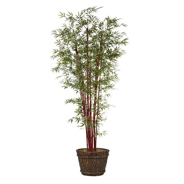 Laura Ashley 100 in. Tall Harvest Bamboo Tree in Planter