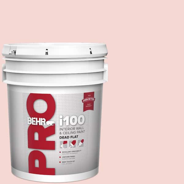 5 gal. #M160-1 Cupcake Pink Dead Flat Interior Paint