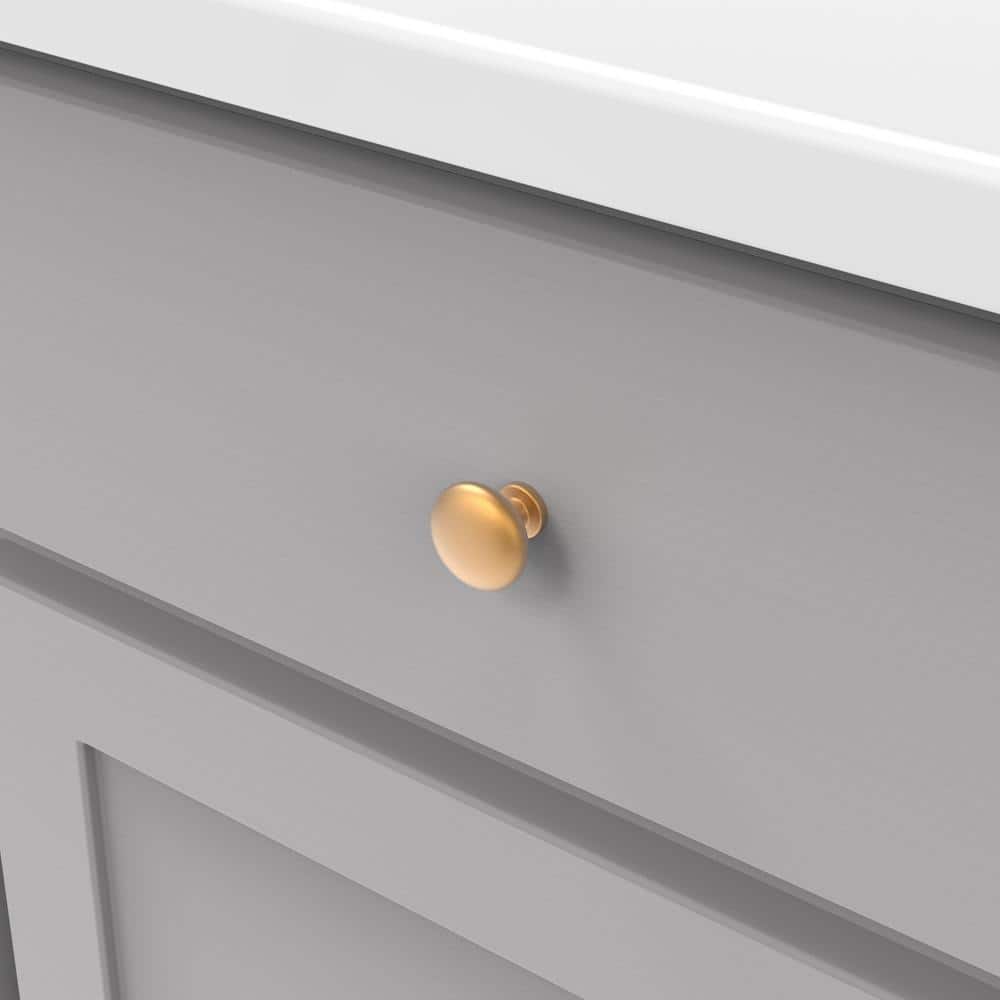 Brushed Brass Round Cabinet Knobs with Mounting Hardware