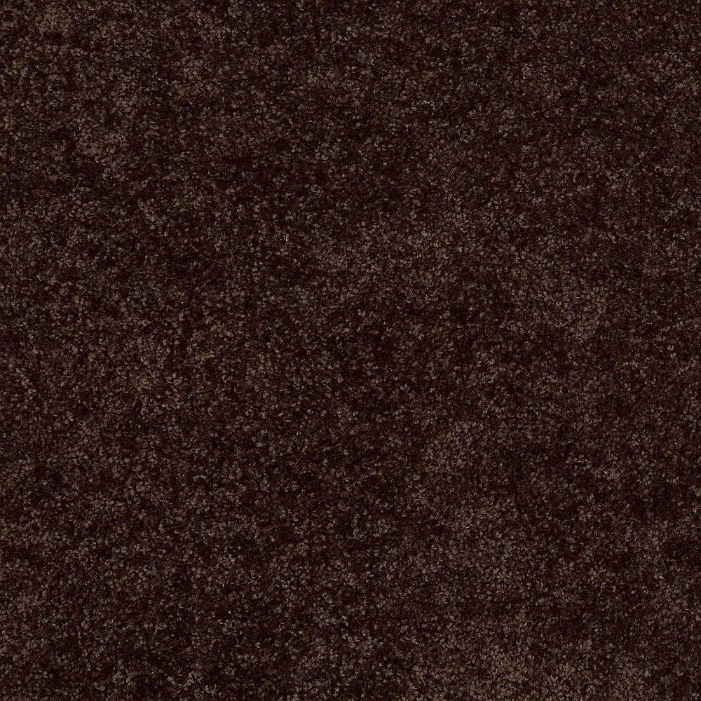 8 in. x 8 in. Texture Carpet Sample - Palmdale I - Color Mountain Path price history on PriceWatchPro