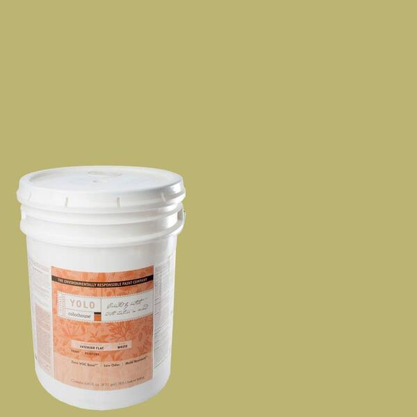 YOLO Colorhouse 5-gal. Leaf .04 Flat Interior Paint-DISCONTINUED