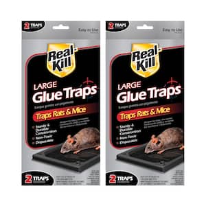 Real-Kill Large Rat and Mice Glue Traps (2-PacK) HG-10096MP - The Home Depot