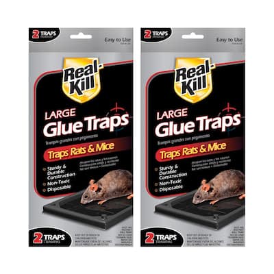 Super Glue Traps Mice Snakes Larger Heavier Sticky Traps - Temu