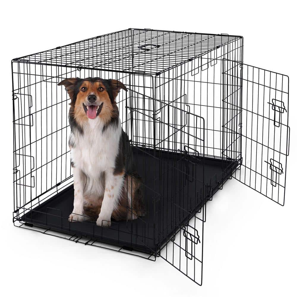 Black Foldable Metal Dog Crate with Double Doors, 42"