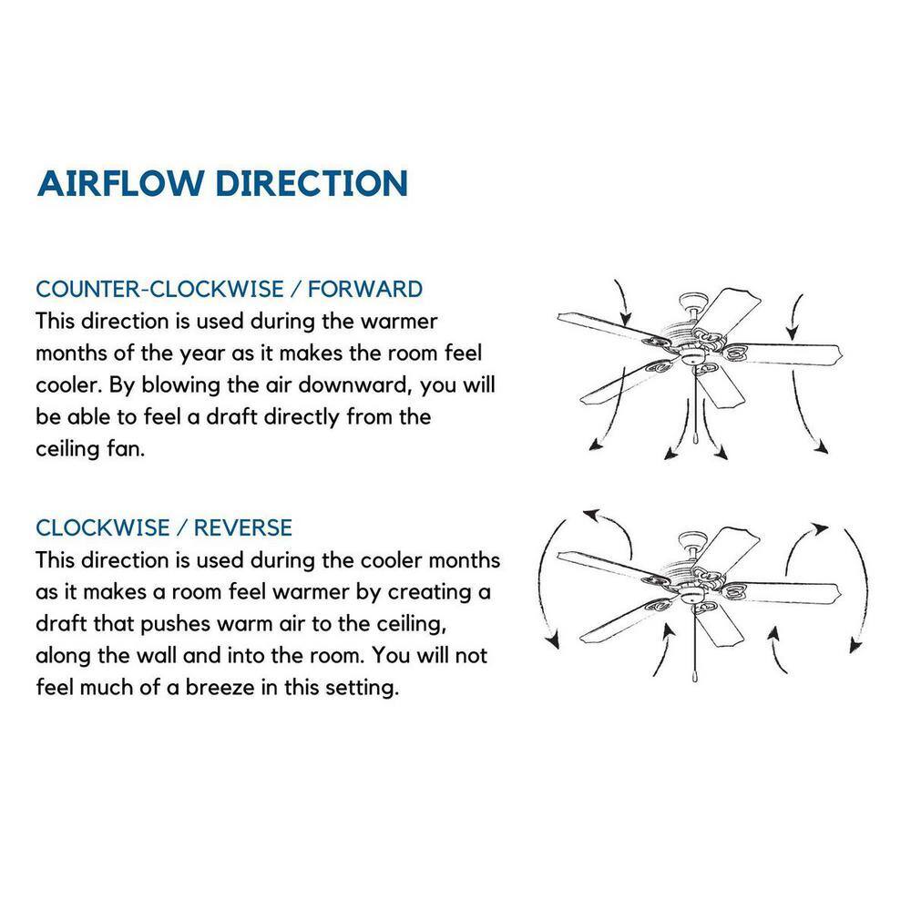 Whirl 60'' Forged Black Ceiling Fan with LED Light