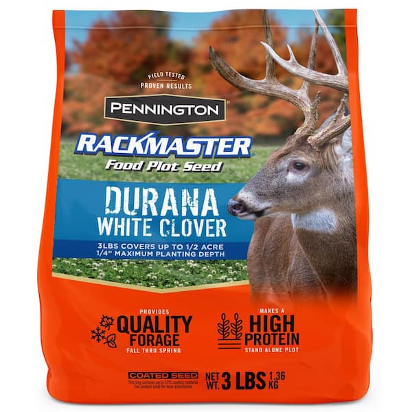 3 lbs. Rackmaster Durana White Clover Seed