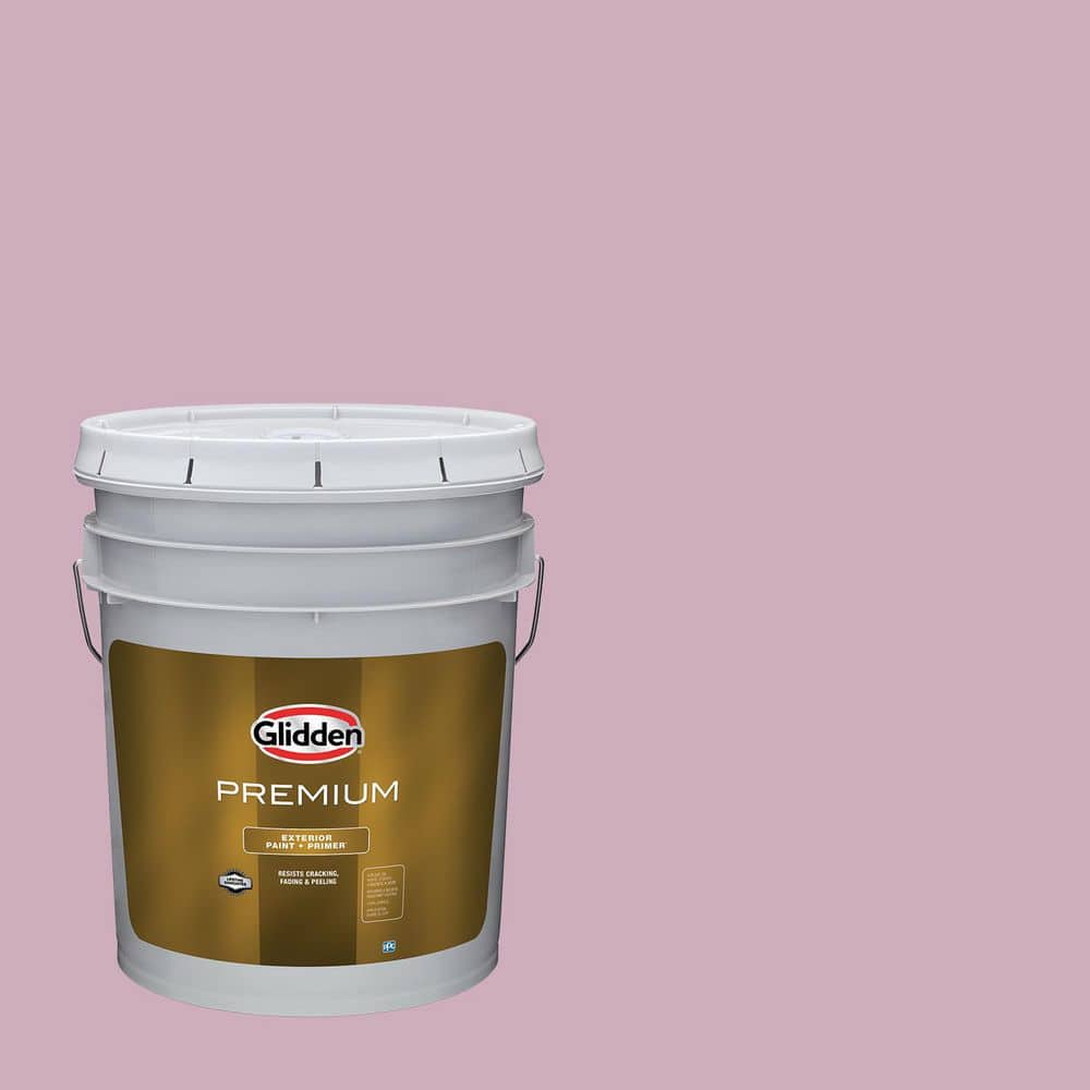 5 gal. PPG1045-4 Pink Potion Flat Exterior Latex Paint price history on PriceWatchPro