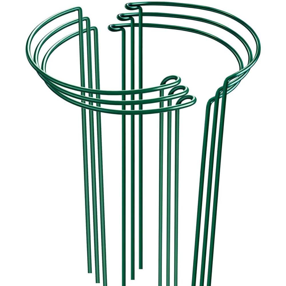 OGETFUUR Plant Support Stakes, 6 Pack 24 in. Metal Peony Cages and ...