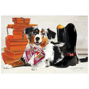 Border collie wall outlet art