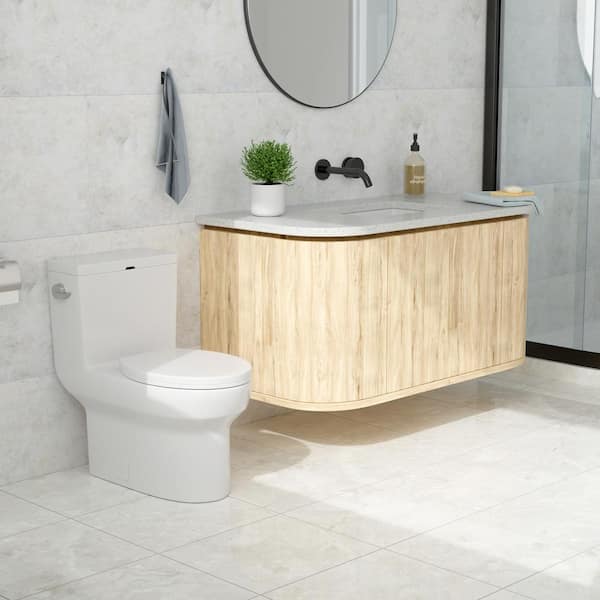 One-Piece 1.28/1.1 GPF Single Flush High-Efficiency Elongated Toilet in  White with Slow Close Seat