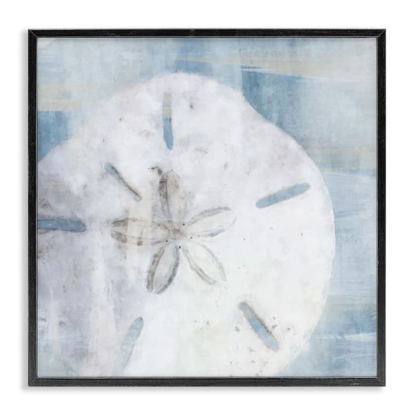 Pastel Blue Sand Dollar Seashell by Nina Blue Black Framed Giclee Art Print Coastal 17 in. x 17 in.