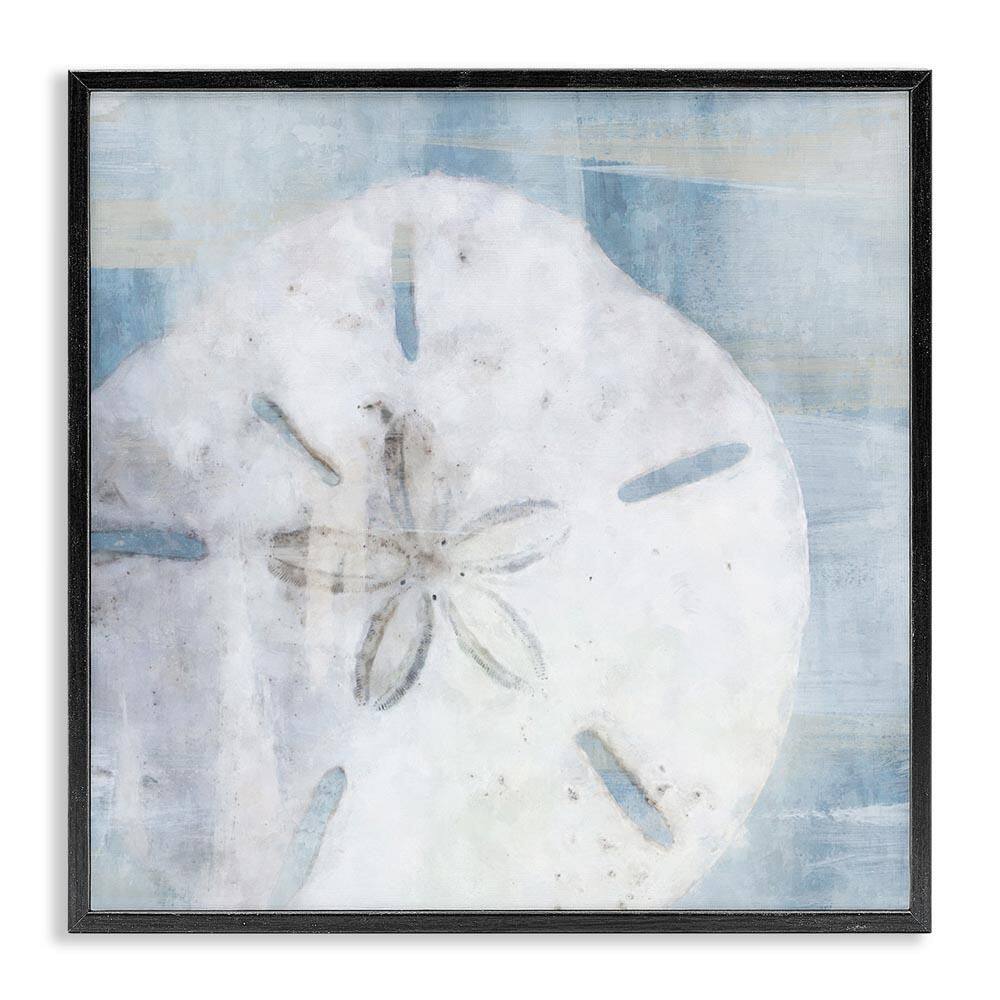 Pastel Blue Sand Dollar Seashell by Nina Blue Black Framed Giclee Art Print Coastal 24 in. x 24 in. price history on PriceWatchPro
