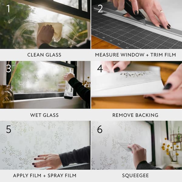 Glass Cleaner Illustration Cleaning Glass Squeegee Bright Sunshine