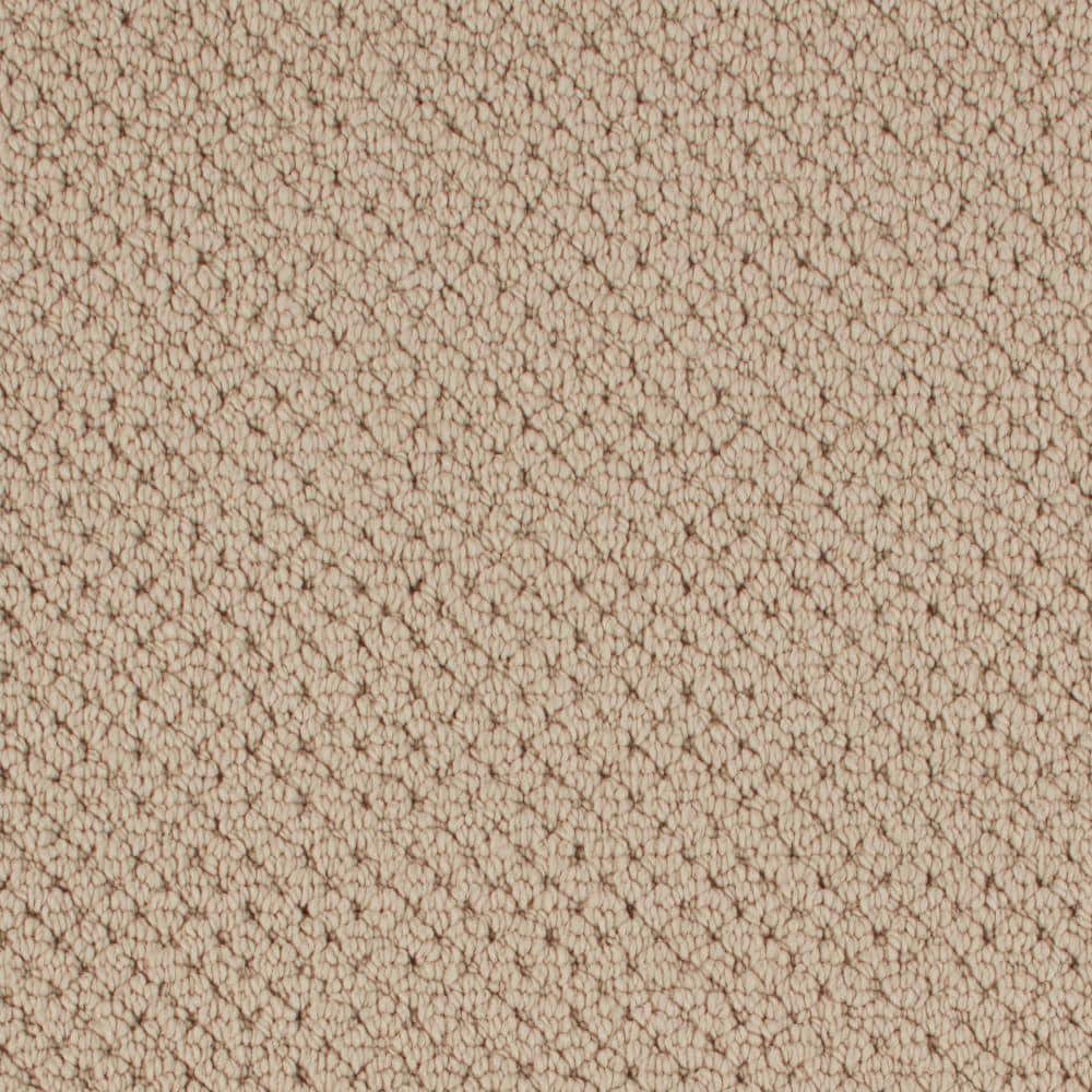 8 in. x 8 in. Pattern Carpet Sample - Abbotts Gate -Color Beach Shores price history on PriceWatchPro