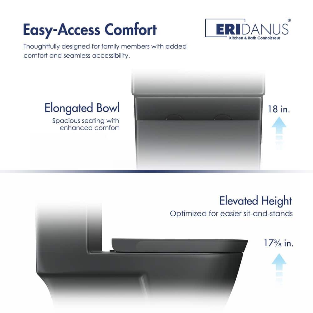 Turner Matte Black Elongated Dual Flush One-Piece Toilet