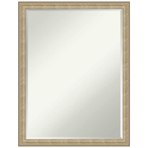 Amanti Art Paris Champagne 20 in. x 26 in. Petite Bevel Classic Rectangle Framed Wall Mirror in Champagne