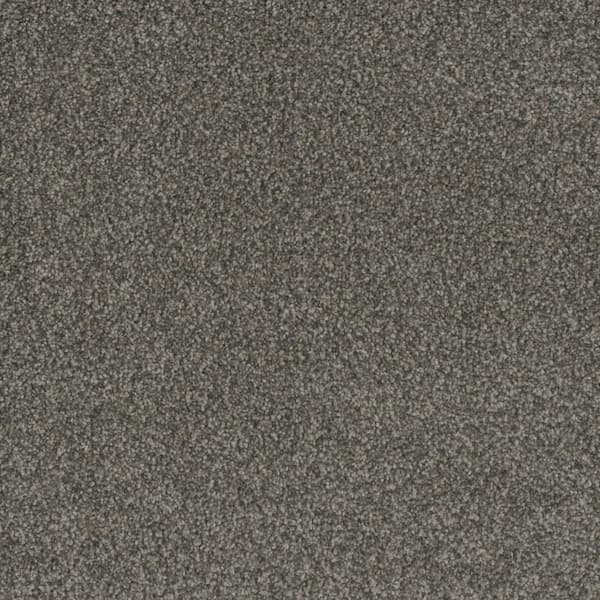 Home Decorators Collection Westchester I - Magnet - Gray 50 oz. Polyester Texture Installed Carpet